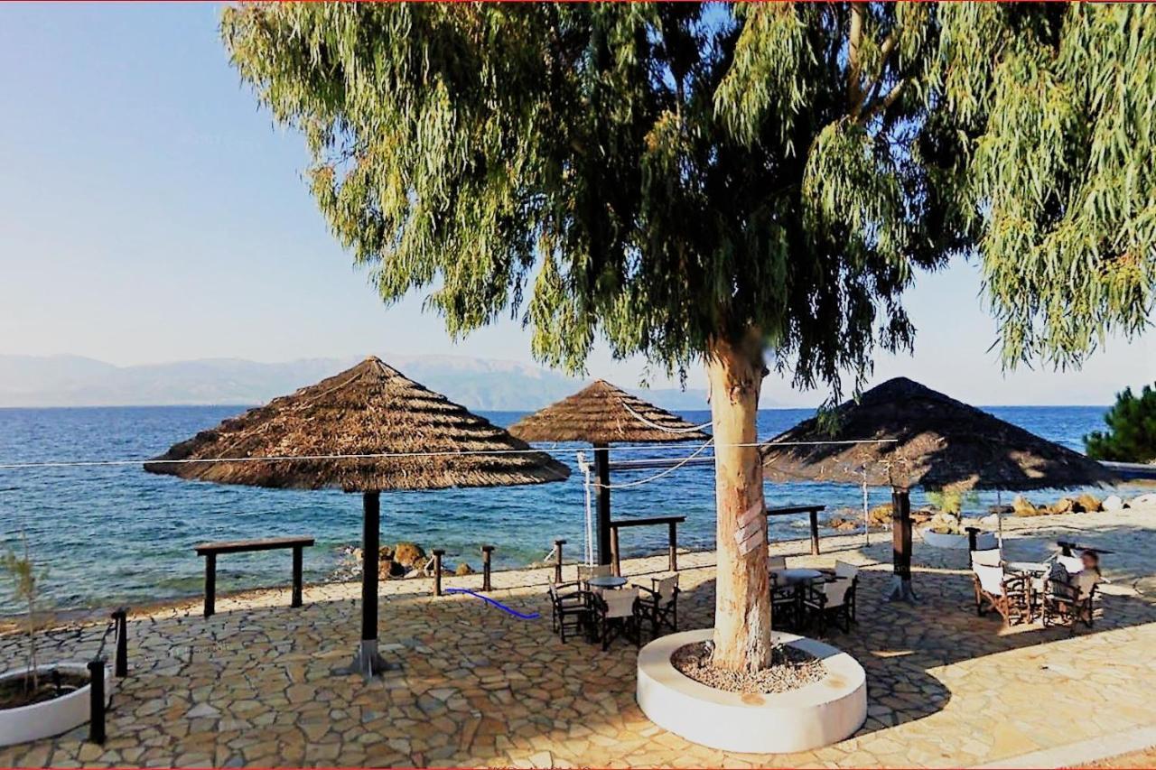 Steinturm Mit Dach-Terrasse Zwischen Fluss, Meer Und Gebirge- Spiti Pirgos Paralia Sergoulas Eksteriør billede